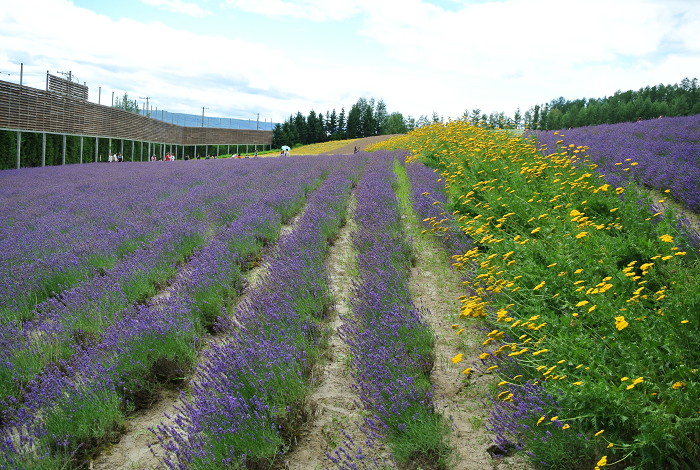 DSC_7620.png DSC_7620.png