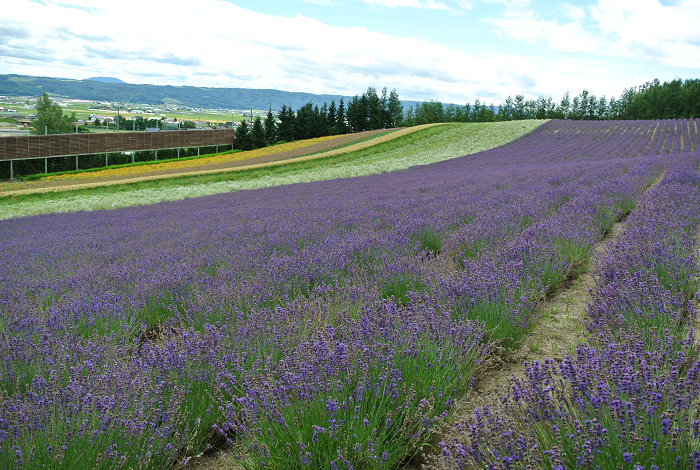 DSC_7622.png DSC_7622.png