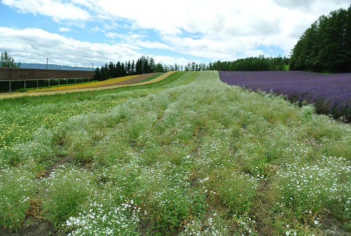 DSC_7633.png DSC_7633.png