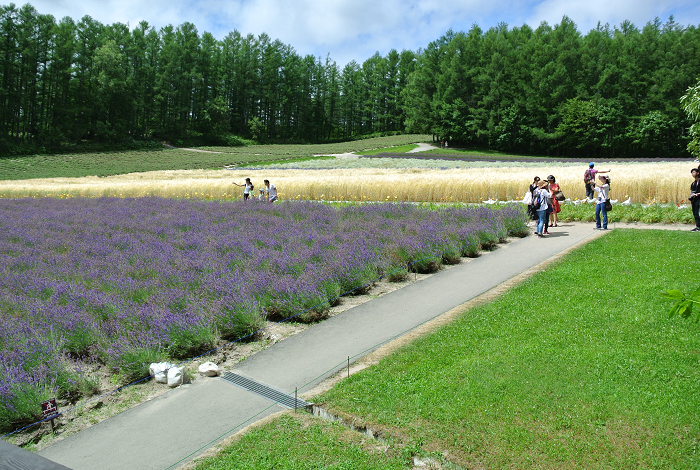 DSC_7646.png DSC_7646.png