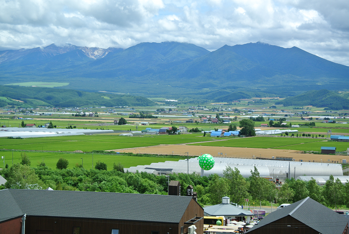 DSC_7651.png DSC_7651.png