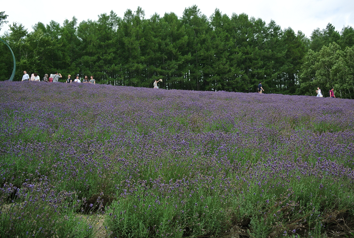 DSC_7657.png DSC_7657.png