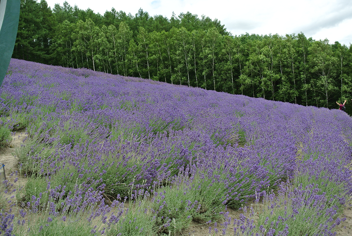 DSC_7659.png DSC_7659.png