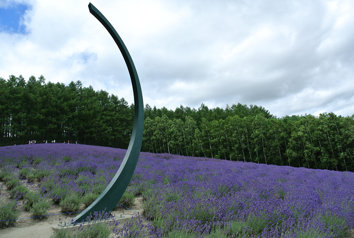 DSC_7665.png DSC_7665.png