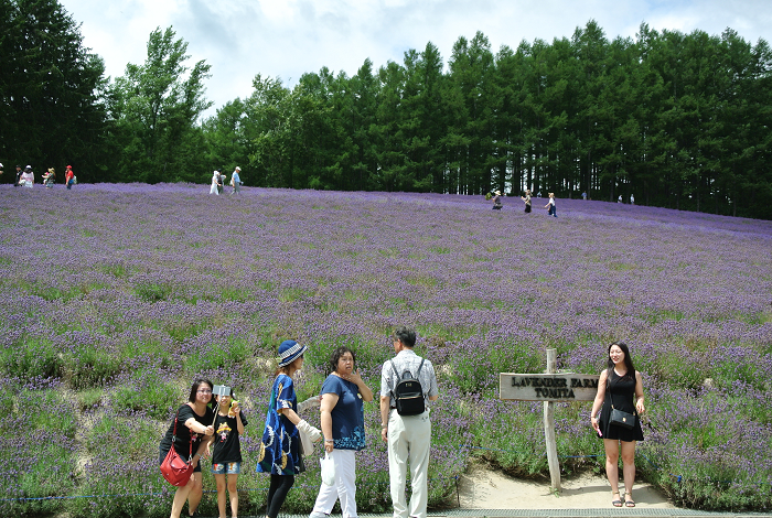 DSC_7672.png DSC_7672.png