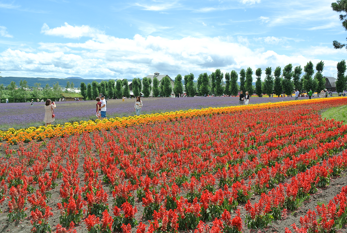 DSC_7673.png DSC_7673.png