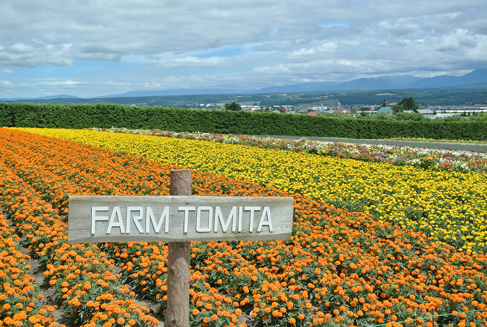 DSC_7675.png DSC_7675.png