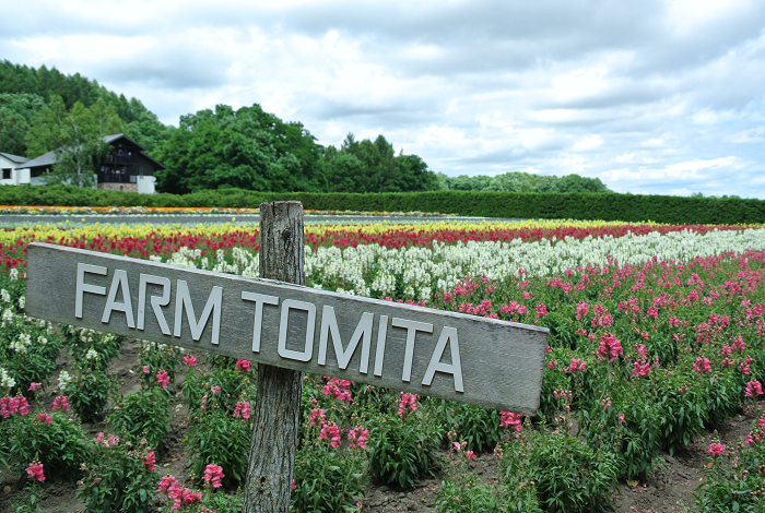 DSC_7691.png DSC_7691.png