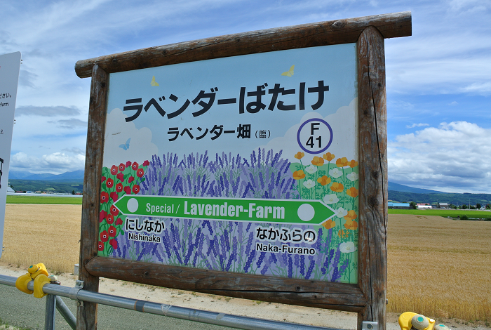 DSC_7695.png DSC_7695.png