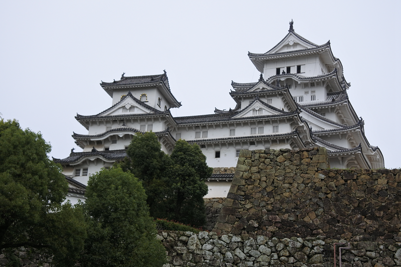 【兵庫|姬路】日本世界遺產姬路城~國寶天守五城也是日本第一名