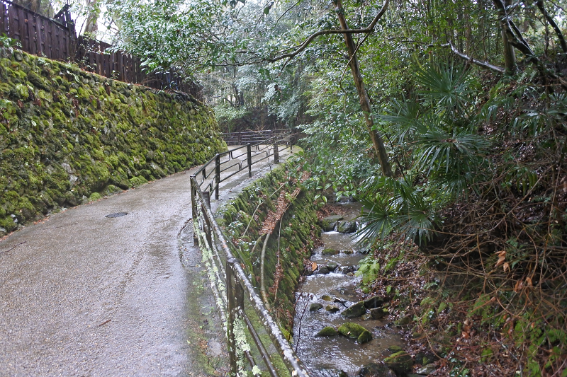 DSC_0554.png