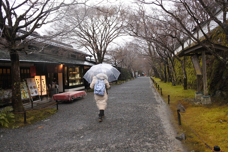 DSC_0556.png
