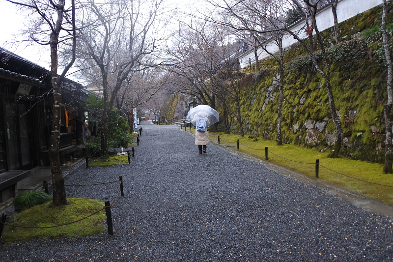 DSC_0558.png