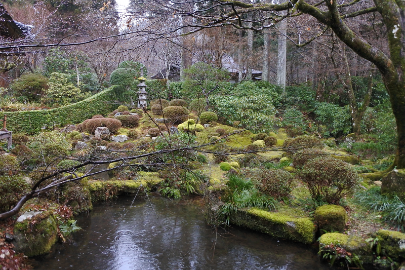 DSC_0574.png