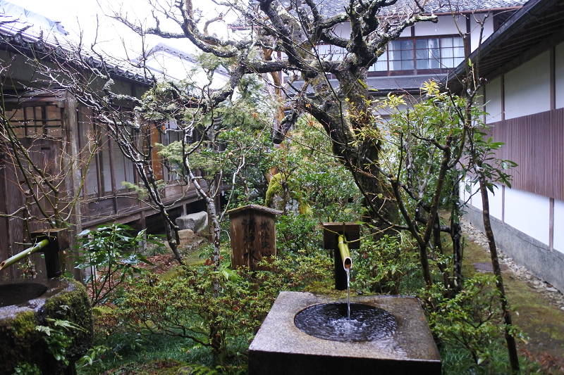 DSC_0580.png