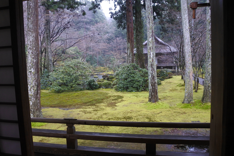 DSC_0586.png