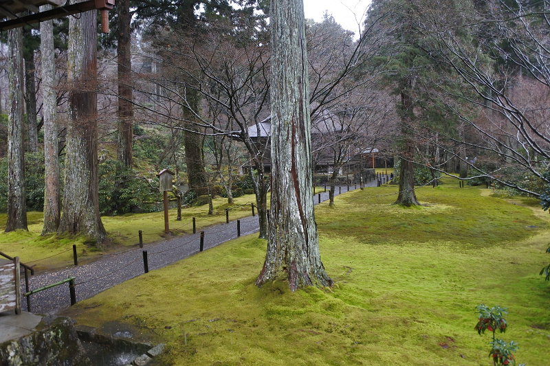 DSC_0581.png