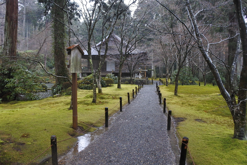 DSC_0590.png