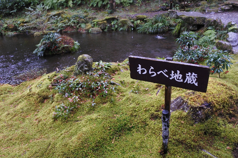 DSC_0599.png