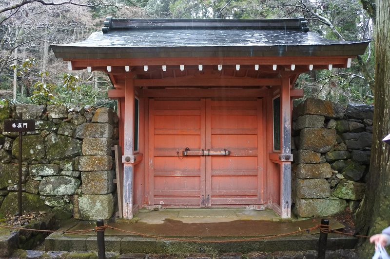 DSC_0602.png