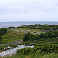 DSC_1479.png
