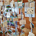 IMG_20250525_140953_1.png