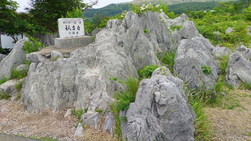 【山口|美禰】山口縣最知名的景點秋芳洞~日本三大鐘乳之一、高