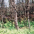 F1000003