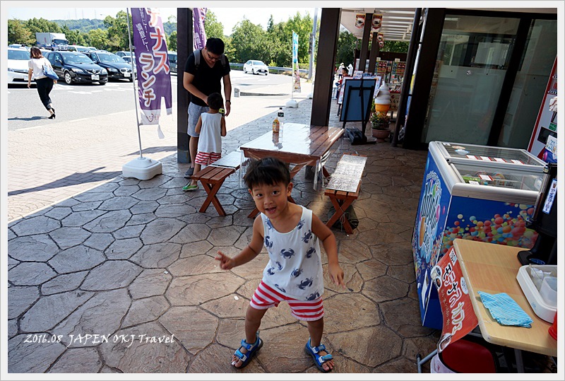 DSC08667.JPG - 2016.08日本岡山廣島