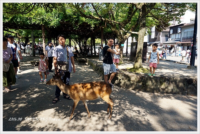 DSC08744.JPG - 2016.08日本岡山廣島