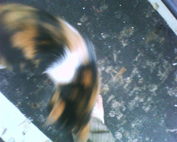 DSC00113.JPG DSC00113.JPG
