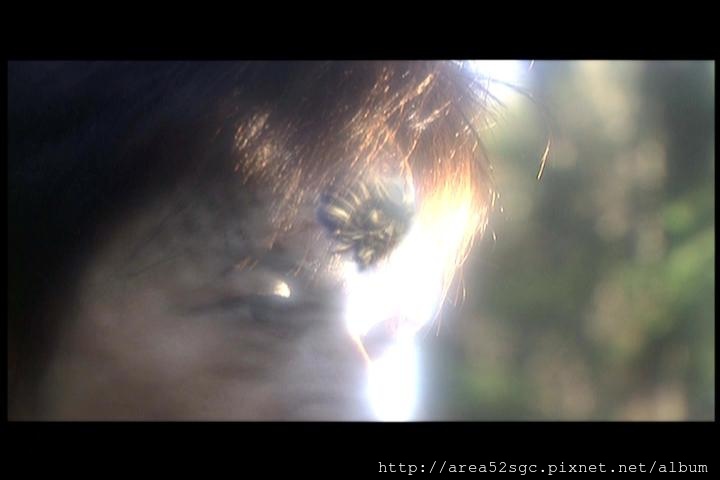 PDVD_074 PDVD_074