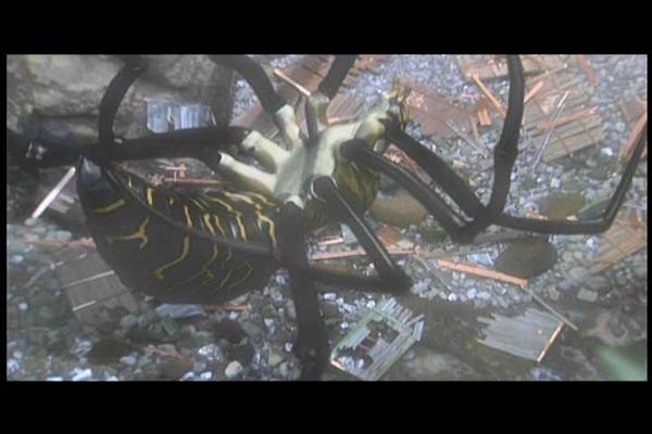 PDVD_218.JPG PDVD_218.JPG