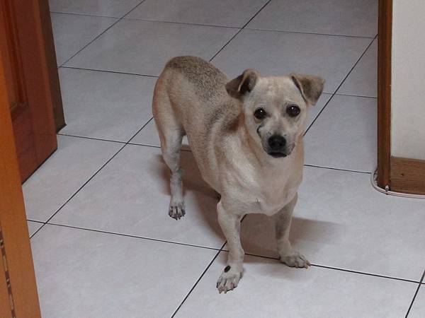 IMG_5747.JPG IMG_5747.JPG