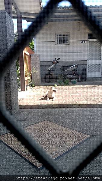 line_1579668003845.jpg line_1579668003845.jpg