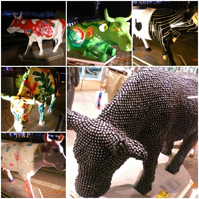 cow-4.jpg