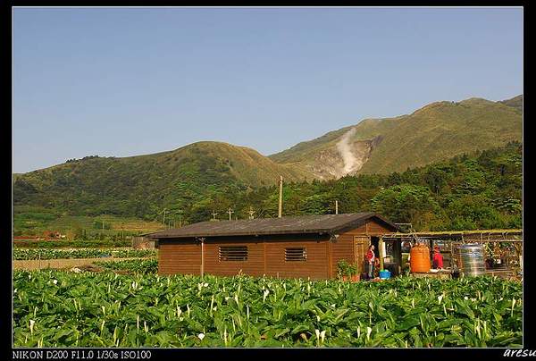 頂湖風光-1