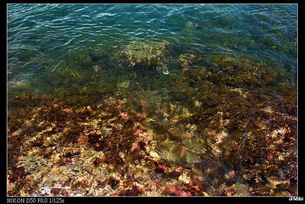潮境公園海景-清澈的海水.jpg