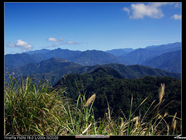 080107馬那邦山-山頂風光-2.jpg