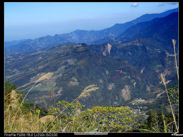 080107馬那邦山-山頂風光-9.jpg