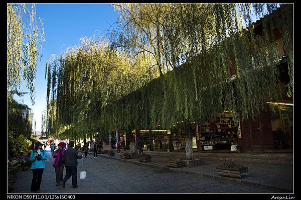 麗江古城(大研)-9