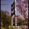 羅浮吊橋-5.jpg