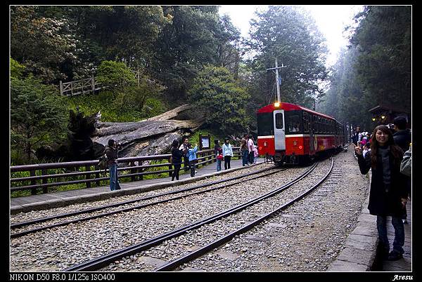 阿里山-神木車站-2.jpg