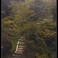 阿里山-梅園一景.jpg