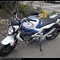 SFV650-2.jpg