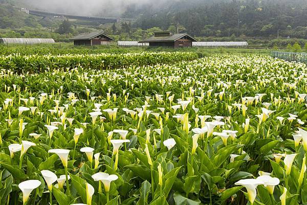 159826169_s.jpg 159826169_s.jpg