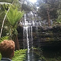 Mt Field National Park.