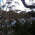 Mt Field National Park.