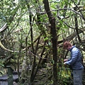 Mt Field National Park.