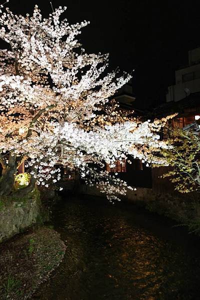 祉園白川